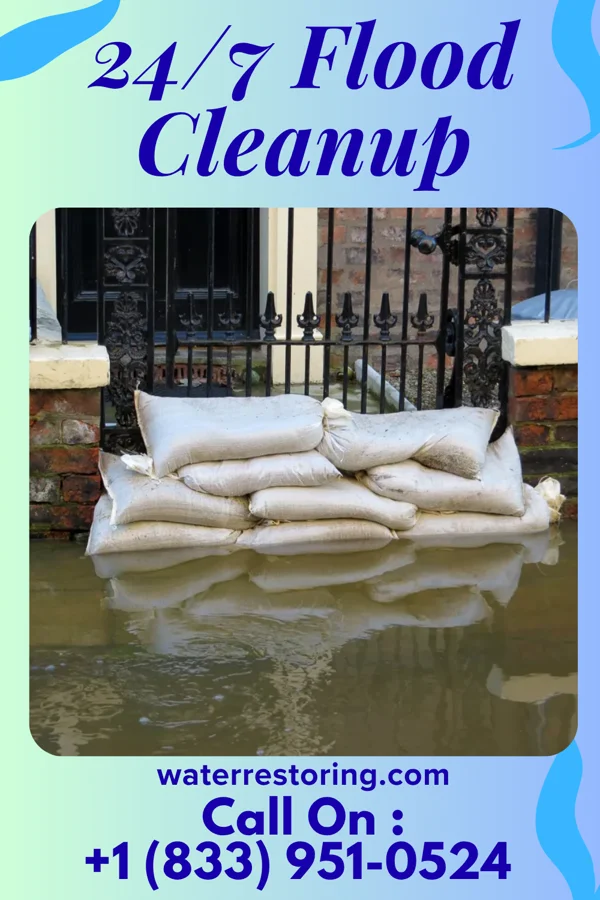 24/7 Flood Cleanup in Empire, MI
