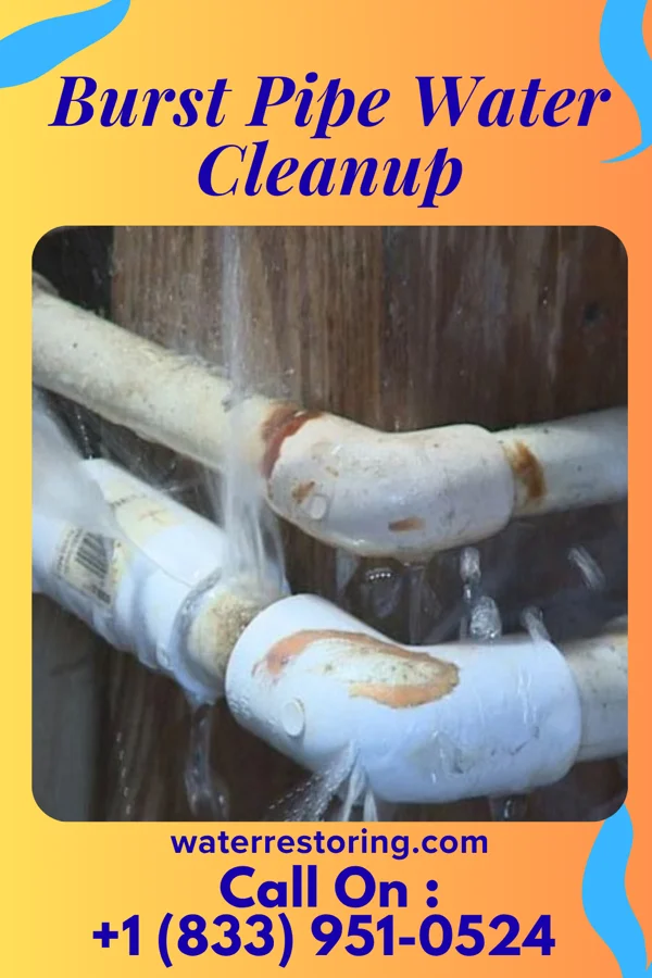 Burst Pipe Water Cleanup in Empire, MI