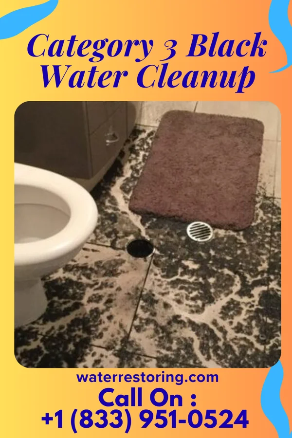 Category 3 Black Water Cleanup in Empire, MI
