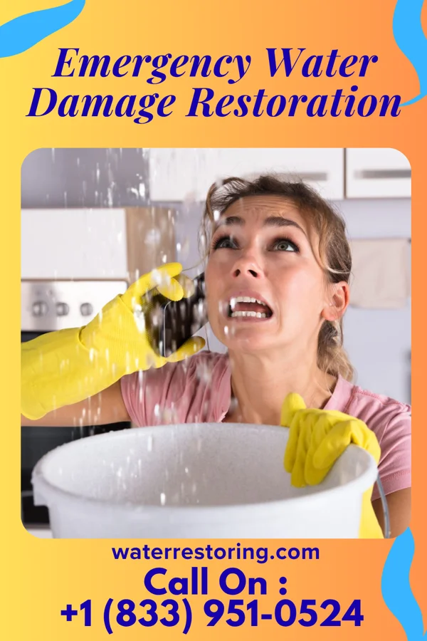 Emergency Water Damage Restoration in Empire, MI