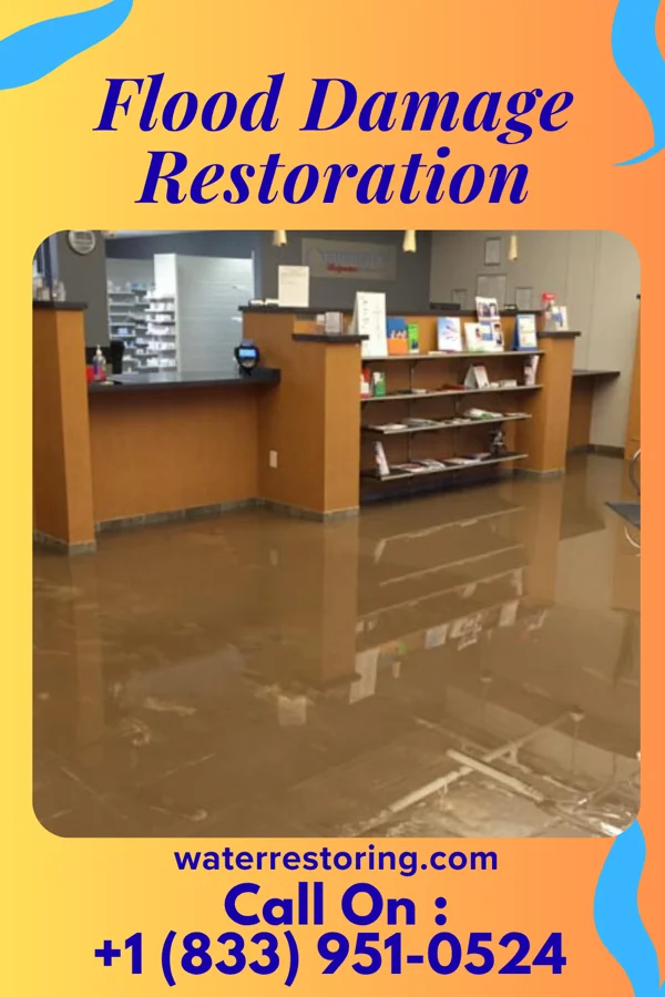 Flood Damage Restoration in Empire, MI