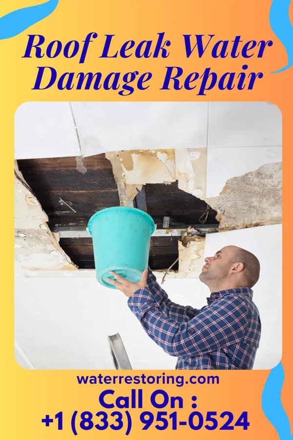 Roof Leak Water Damage Repair in Empire, MI
