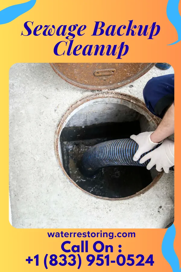 Sewage Backup Cleanup in Empire, MI